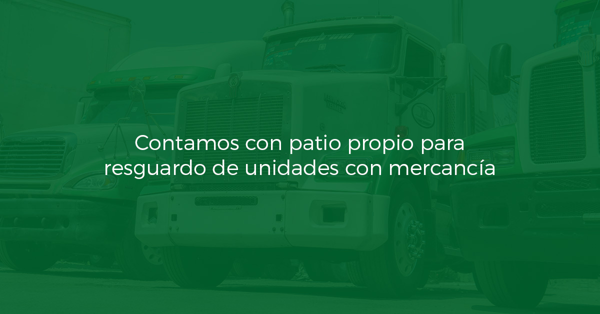 Resguardo de unidades