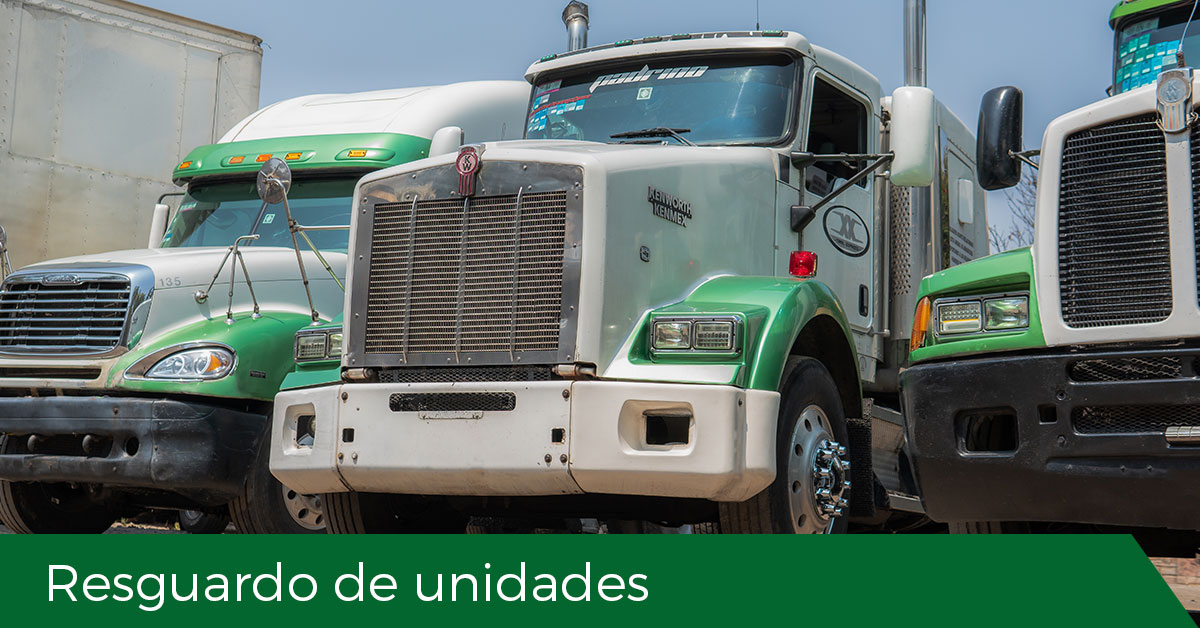 Resguardo de unidades